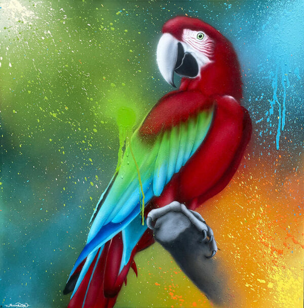 Parrot on canvas