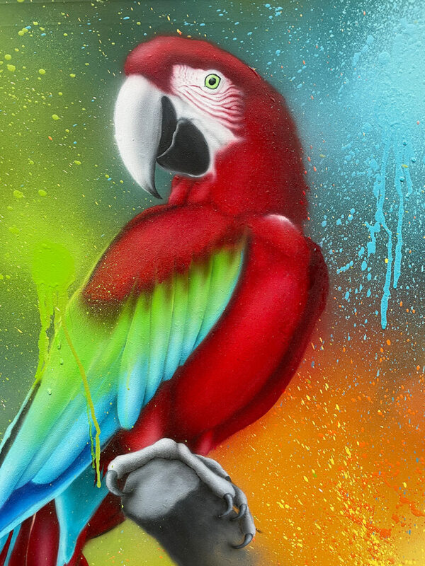 Parrot on canvas
